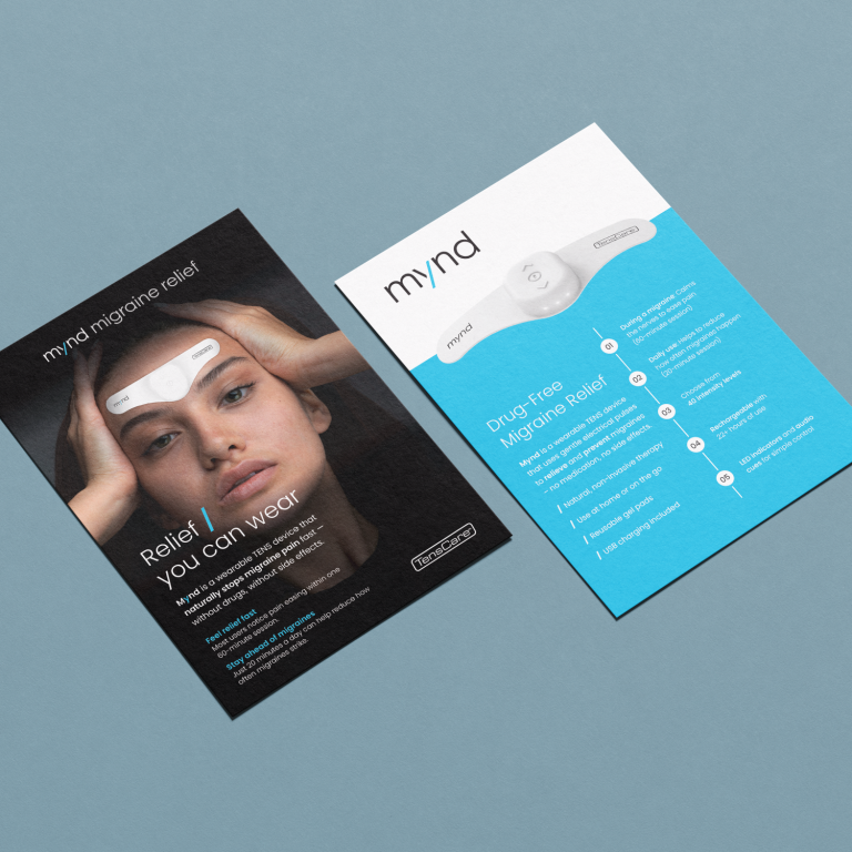Product Feature Flyer